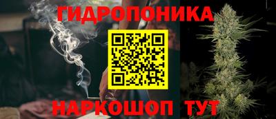 стаф Можга
