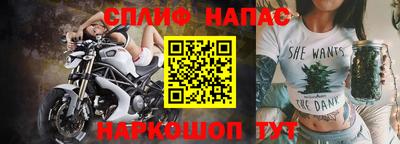 стаф Можга
