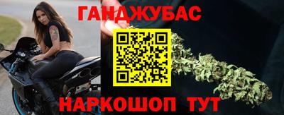 стаф Можга