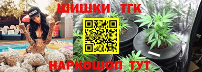 стаф Можга