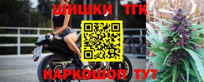стаф Можга