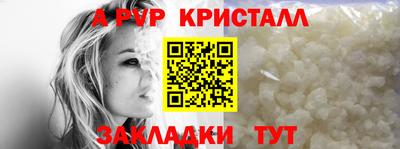 стаф Можга