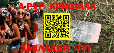 стаф Можга