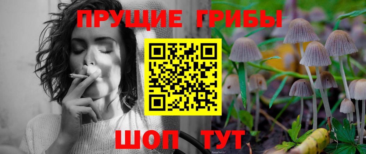 Галлюциногенные грибы Psilocybe  Вход с VPN  Сорочинск 
